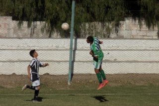  id_tipo: 0